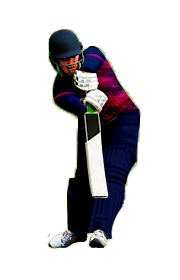 batsman